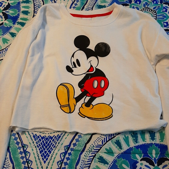 Cute cropped Disney sweater - Picture 1 of 4